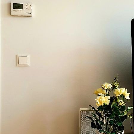 Near Lake Two Bedroom Fully Furnished Apartment Viyana Dış mekan fotoğraf