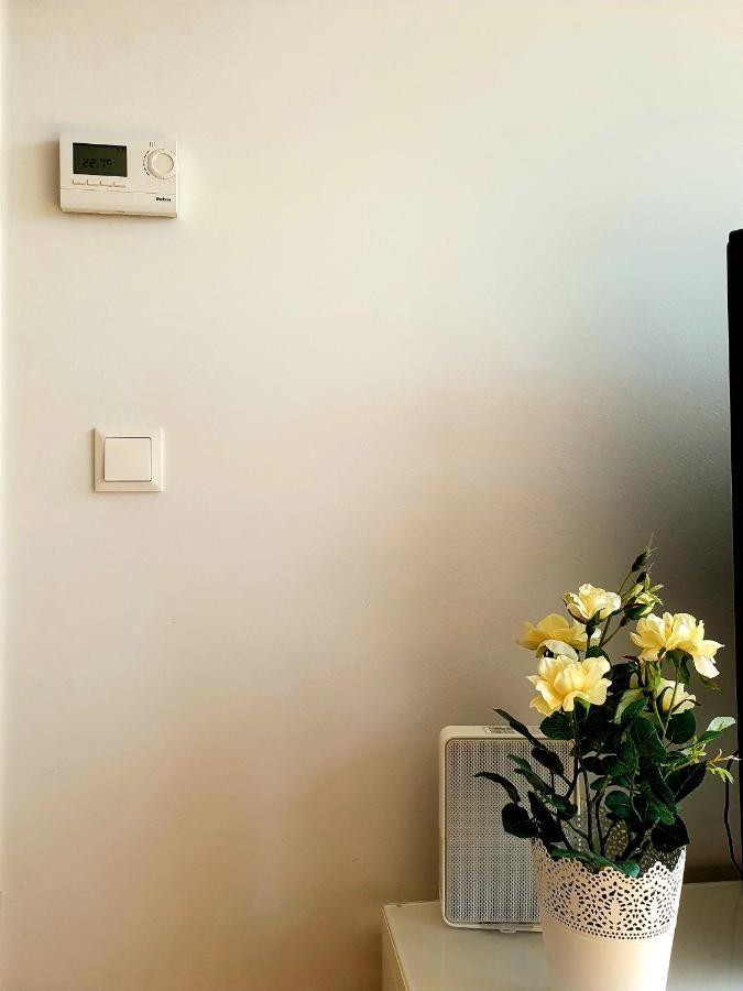 Near Lake Two Bedroom Fully Furnished Apartment Viyana Dış mekan fotoğraf