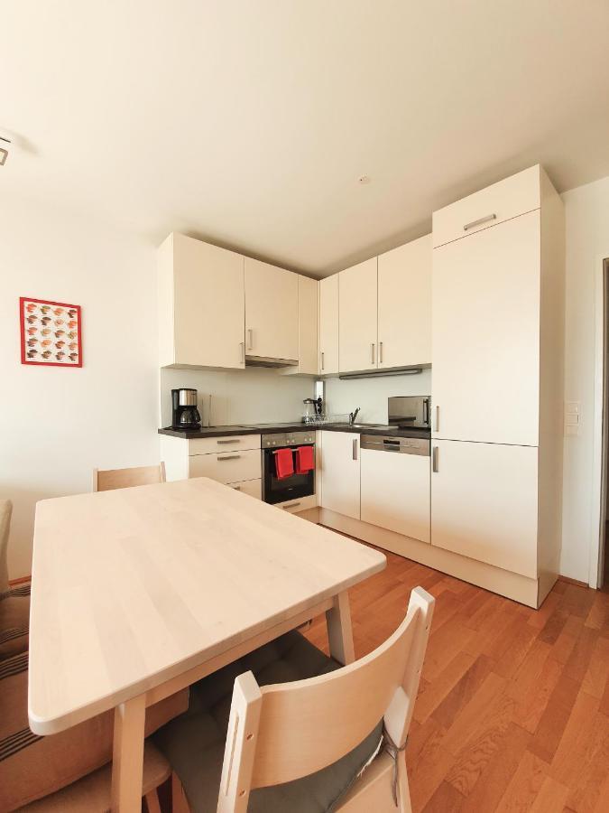 Near Lake Two Bedroom Fully Furnished Apartment Viyana Dış mekan fotoğraf